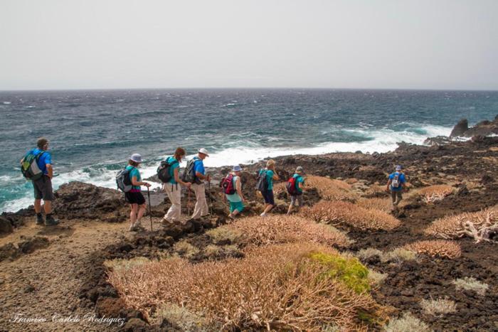 Piso Nuevo En El Puertito De Gueimar Al Lado Del Mar Realizamos Servicio De Excursiones Con Guia Пуертито де Гуймар Екстериор снимка